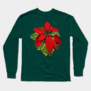 Poinsettia Plant Long Sleeve T-Shirt